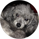 Cindy J. profile picture