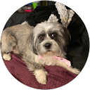 Aleshia O. profile picture